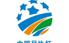 朱艺：足协杯特殊身份球员出场按低级别规定为准